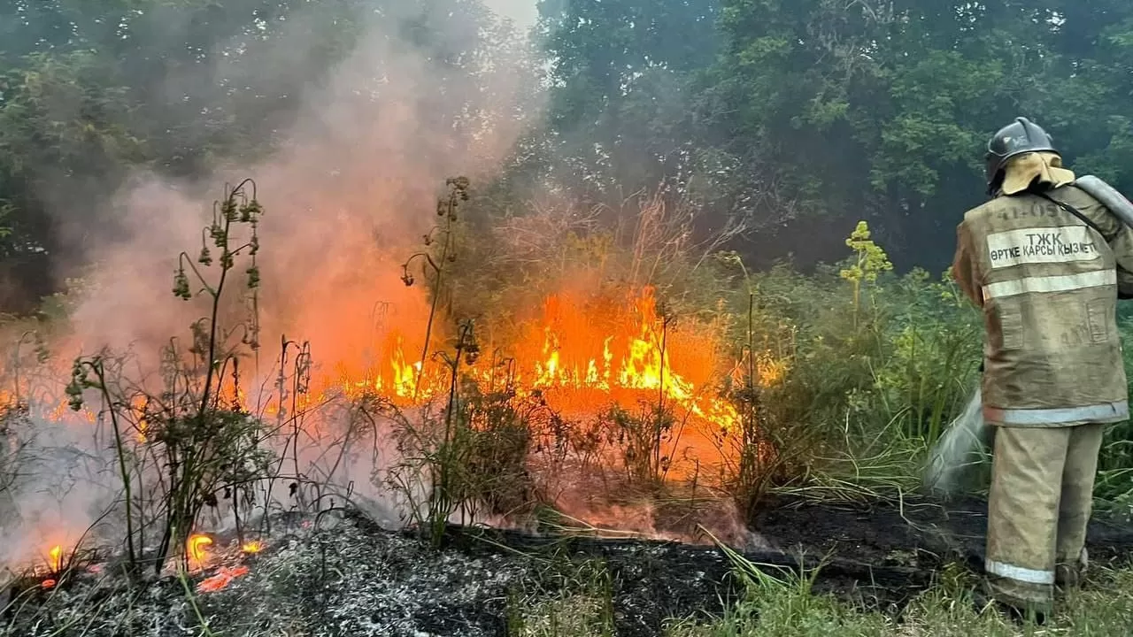 «ТІЛСІЗ ЖАУ» ТЫНЫМ ТАППАЙ ТҰР