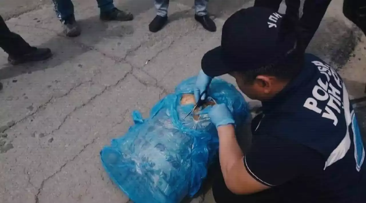 Жамбыл облысында полиция 100 келі марихуана тәркіледі
