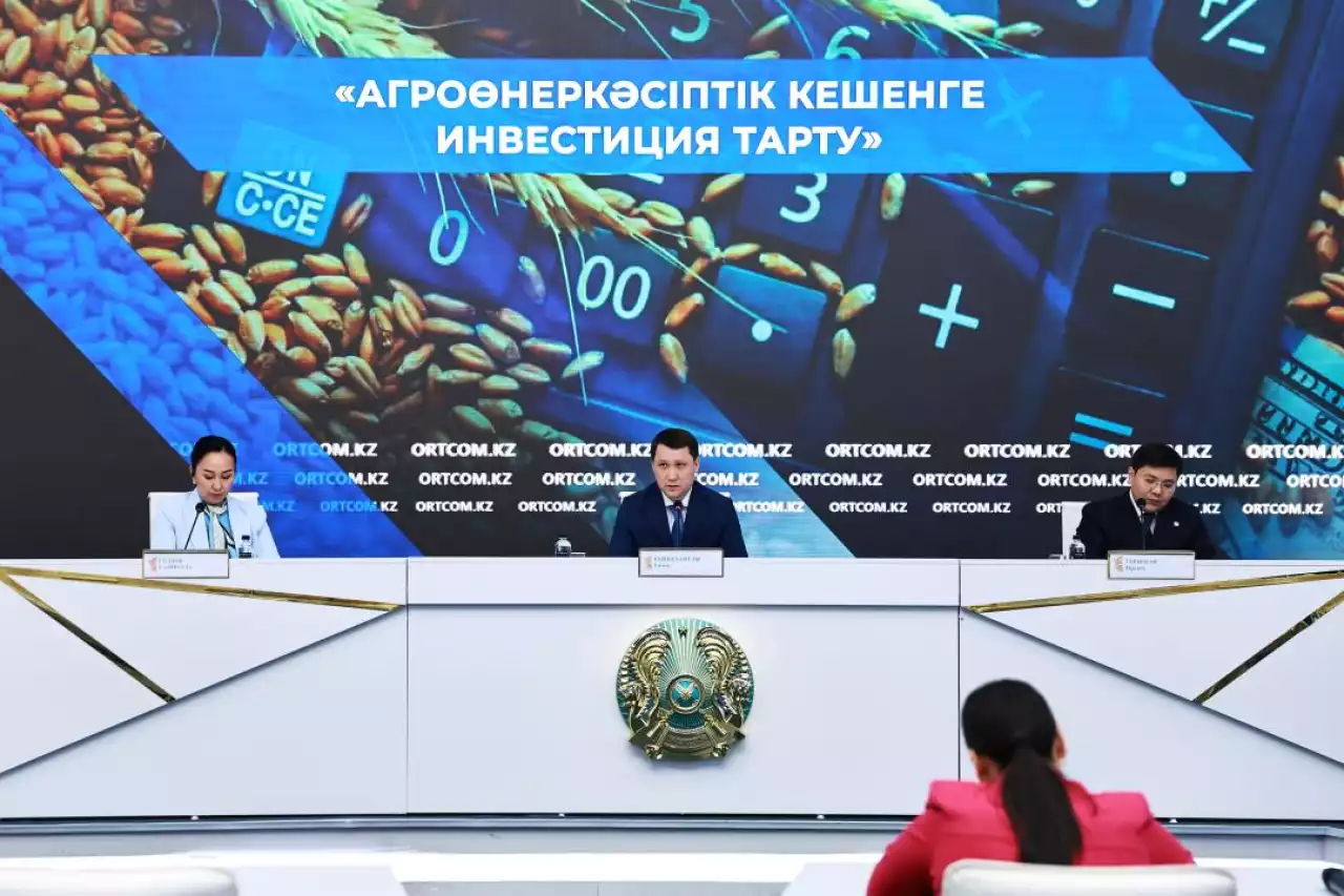 Агроөнеркәсіптік кешенге инвестиция тарту шаралары туралы