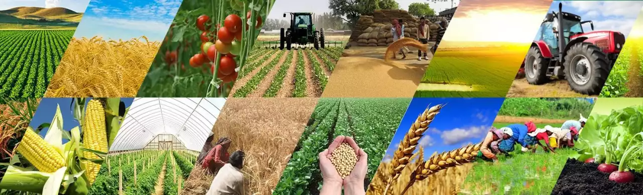 Агроөнеркәсіп кешені қалай дамып жатыр?