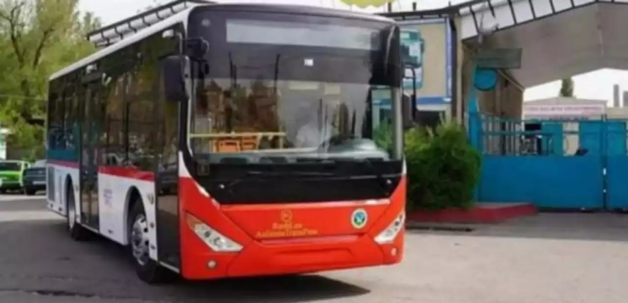 Автобус жүргізушілері айқай есту үшін туған жоқ