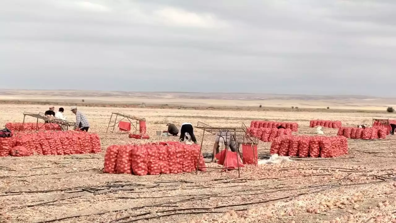 Ауылшаруашылығы алға жылжуда