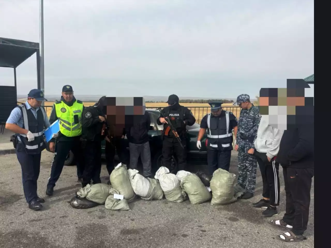 Жамбыл облысында ірі көлемдегі есірткі тасымалының жолы кесілді
