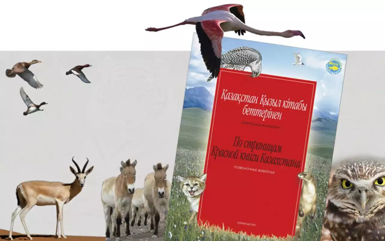 «Қызыл кітапқа» да қамқорлық керек