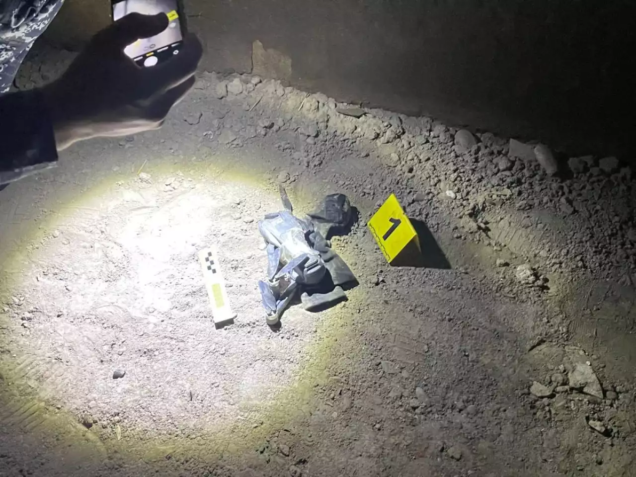 Дрон арқылы айласын асырмақ болған