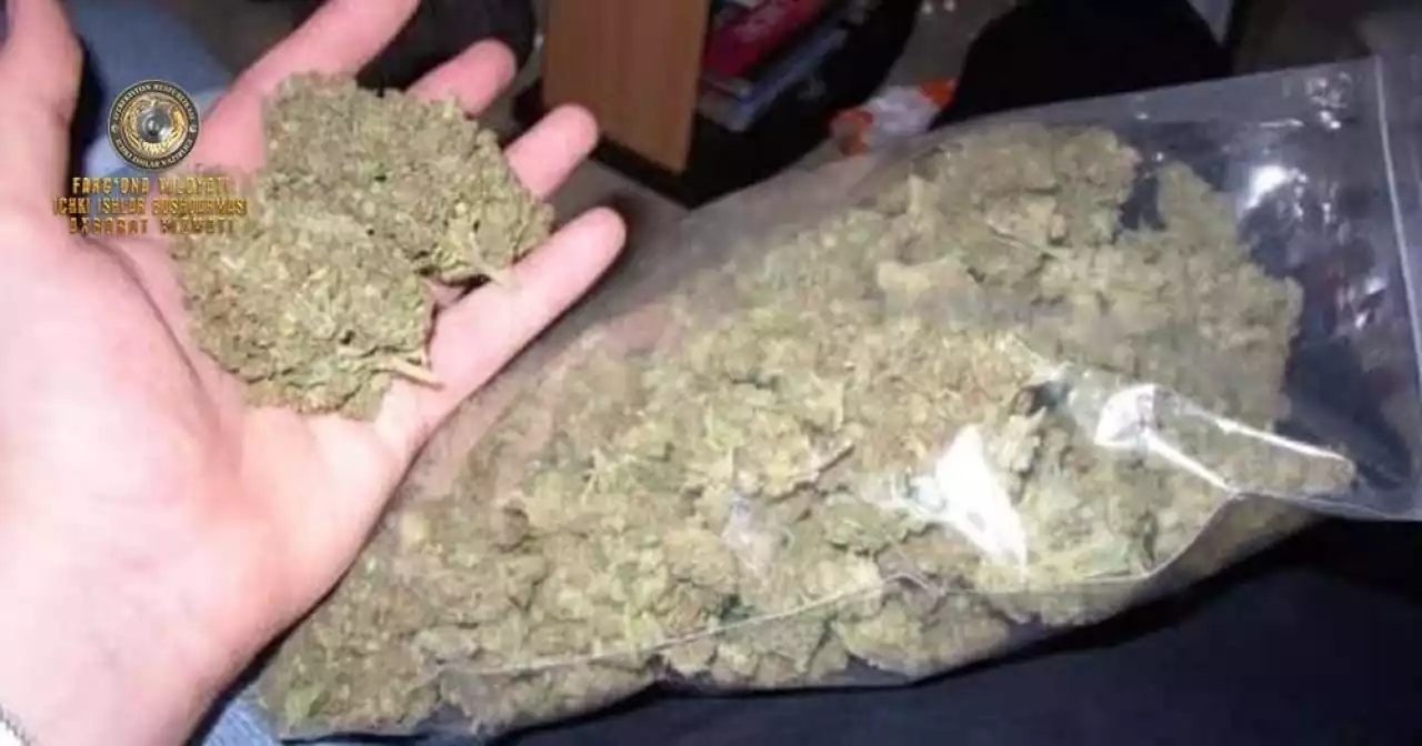 Марихуана тасымалдаған күдіктілер ұсталды