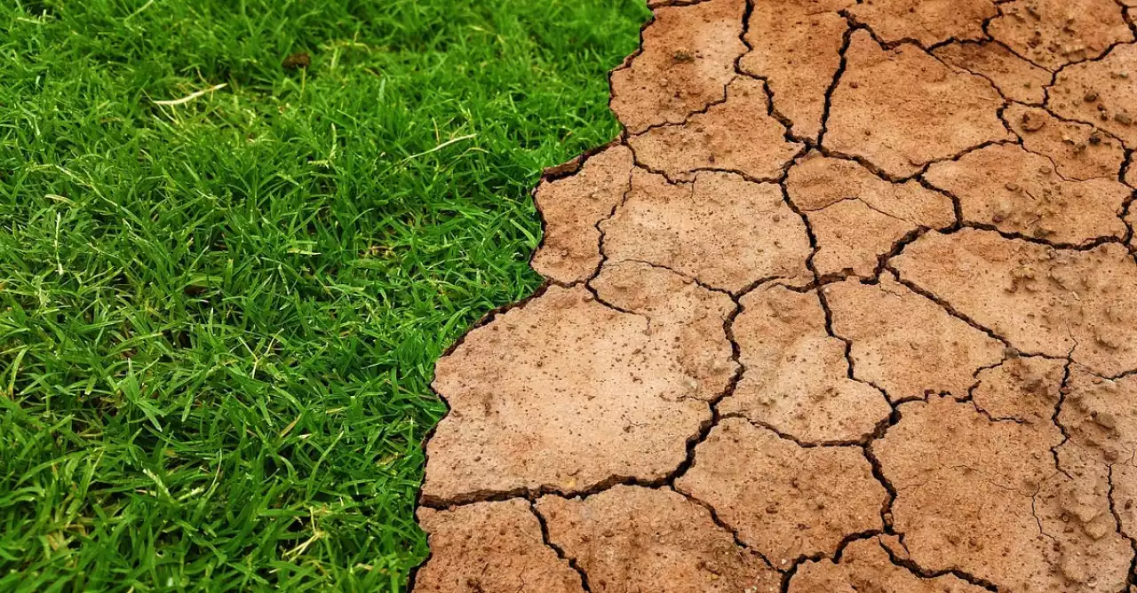 Жердің құнарлылығы – ел қауіпсіздігінің кепілі