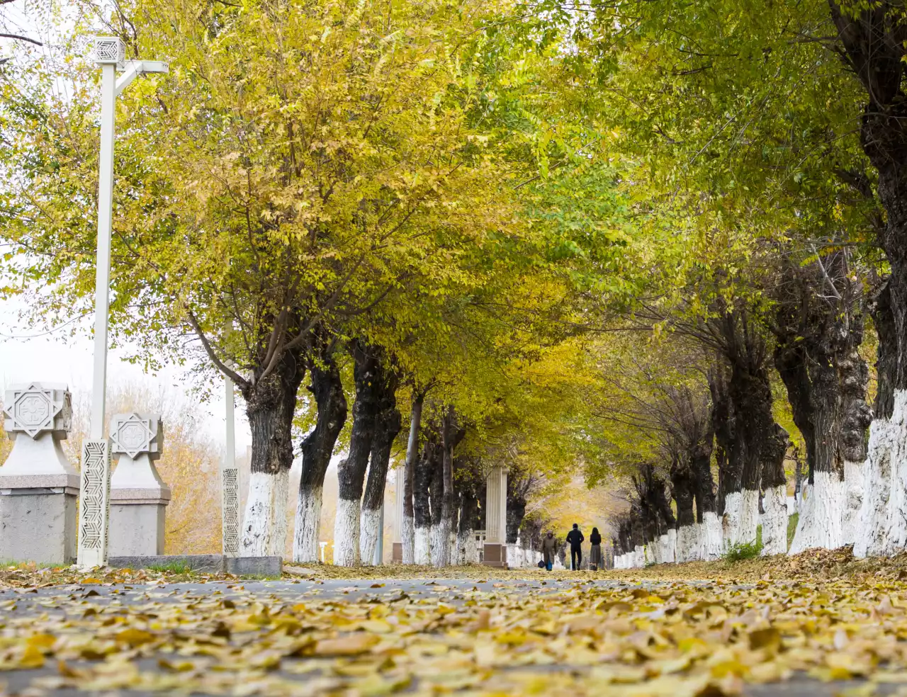 Күзді арманға сенбейді деп кім айтты?!