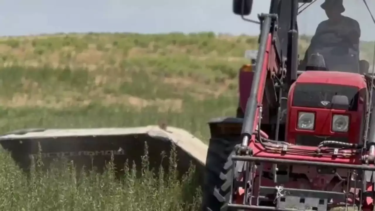 Есірткімен күрес күшейді