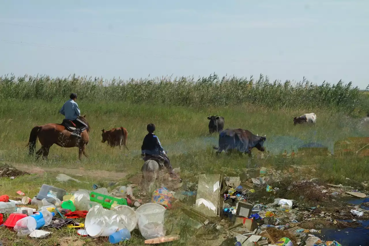Тазалық сақтау – әркімнің жауапкершілігі