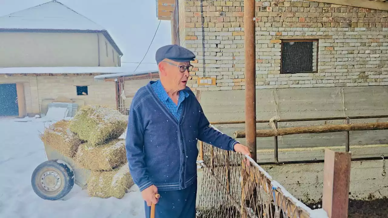 Озат шопан болу оңай емес