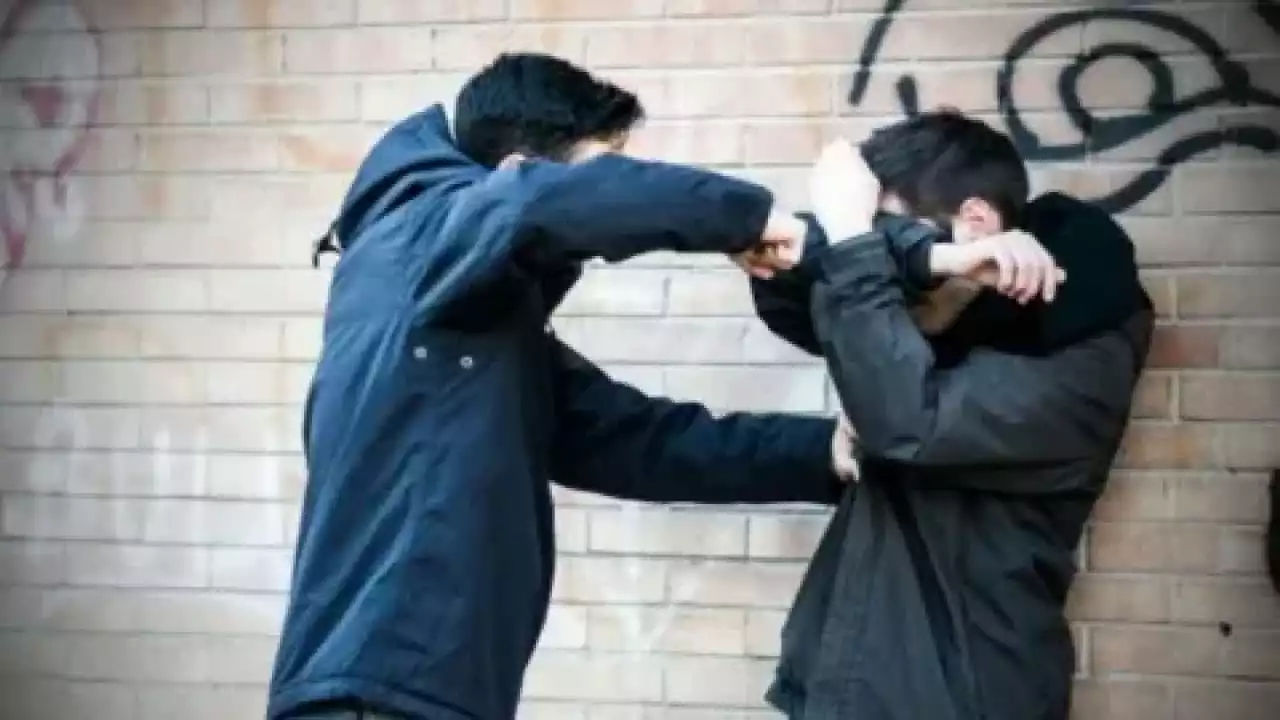 Қамысты бос ұстасаң, қолыңды кеседі