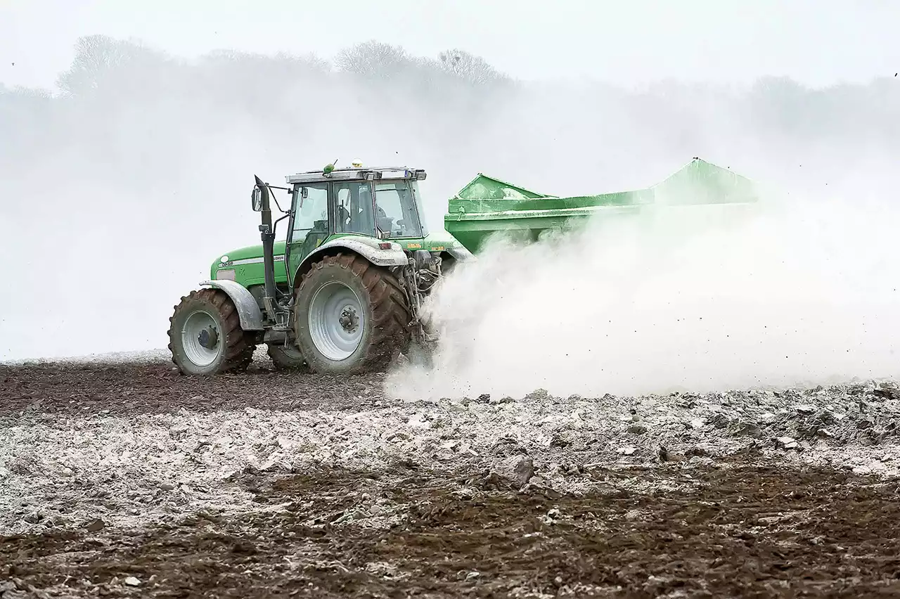 Фосфогипс қалдығы аралдың экожүйесін жақсарта алады
