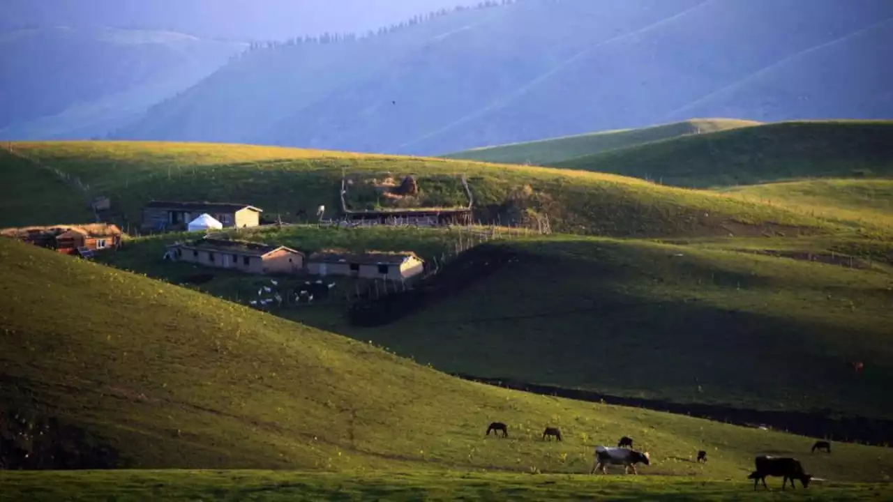 «АR-AI»-мен астасқан әлем ауылдан басталды