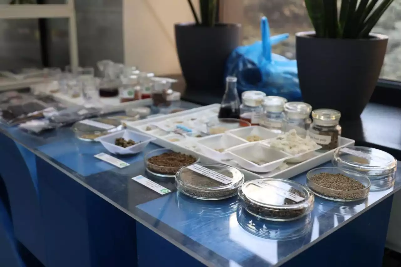 Қазақстандық ғалымдар қант өндірісі қалдығынан инновациялық материалдар алды