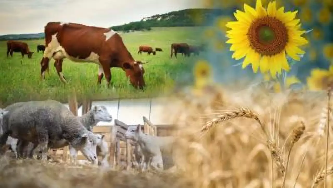 Агросектордың әлеуеті жоғары