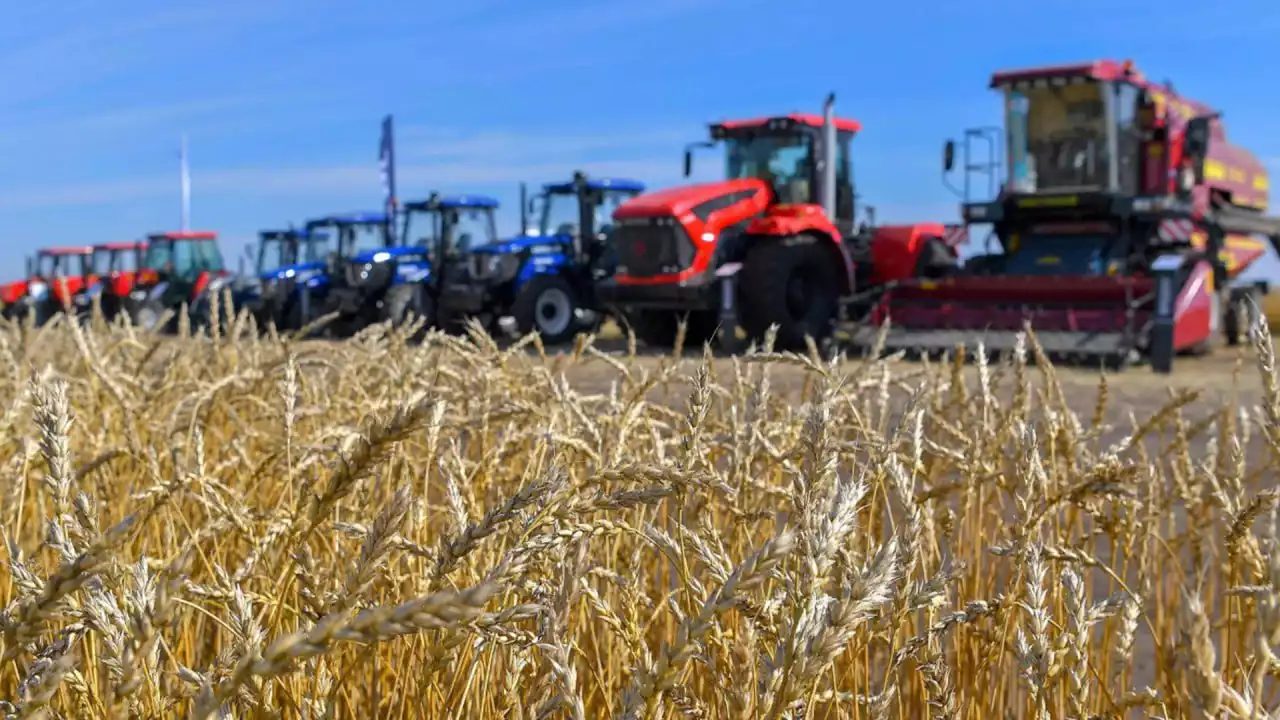 Ауыл шаруашылығы өнімдерінің жалпы көлемі 6,1%-ға артты