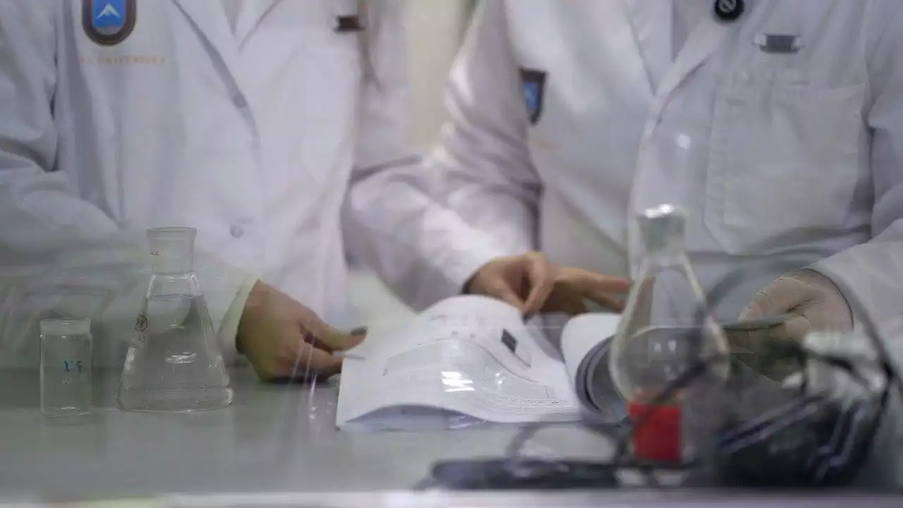 Қазақстандық жас ғалым цикорийдің диабетке қарсы қасиетін дәлелдеді