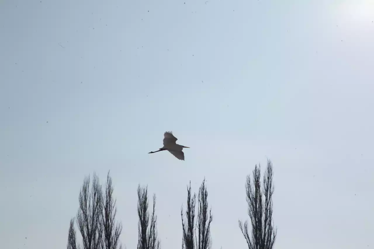 Қаһарлы қыс – рухтың шыңдалу кезеңі