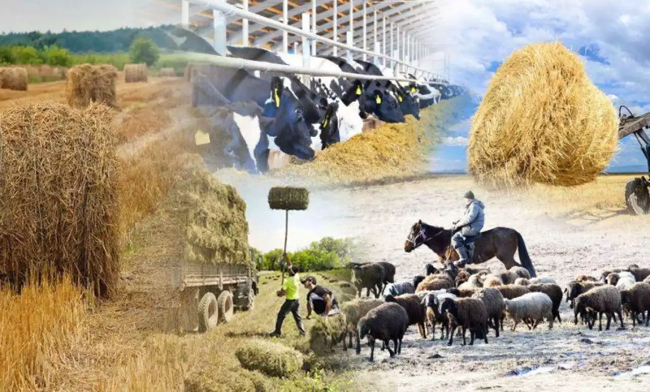 Мал қыстатудың машақаты мол