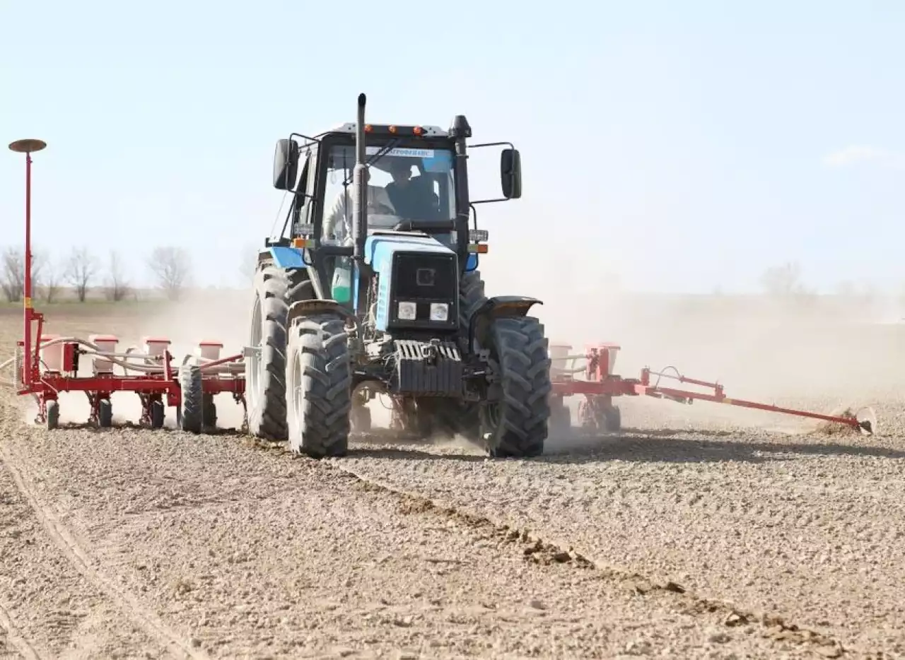 Егістік көлемінің азаюына не себеп?