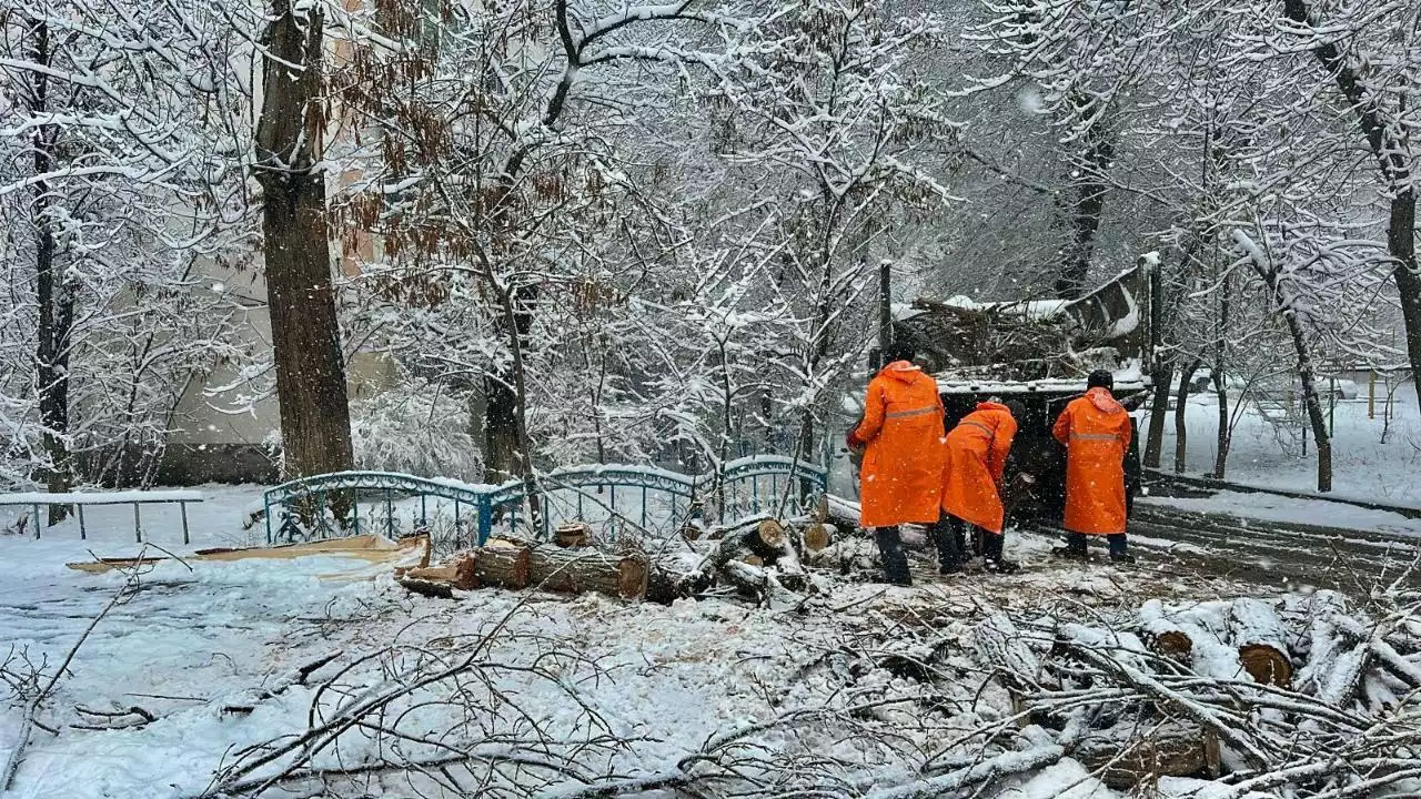 Жамбыл облысында қар тазалау жұмыстары күшейтілді