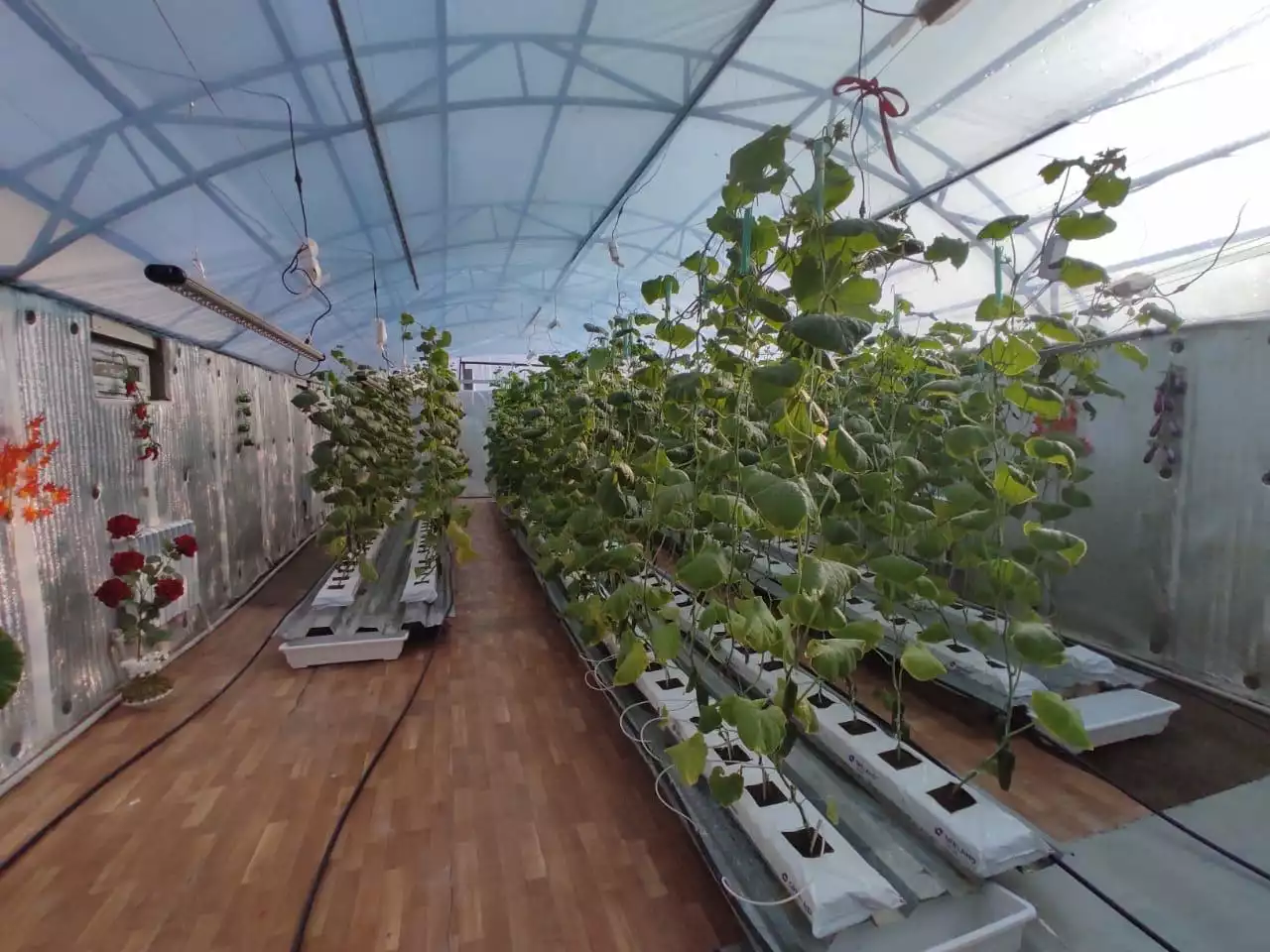 Ауылшаруашылығына серпін берген жоба