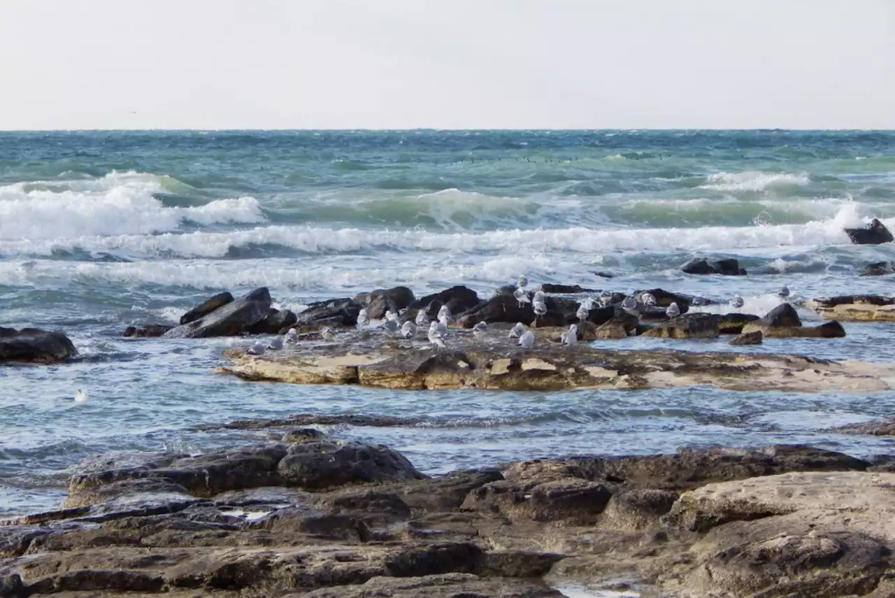 Үкімет Каспийді зерттеуге және сақтауға 1,1 млрд теңге бөлді