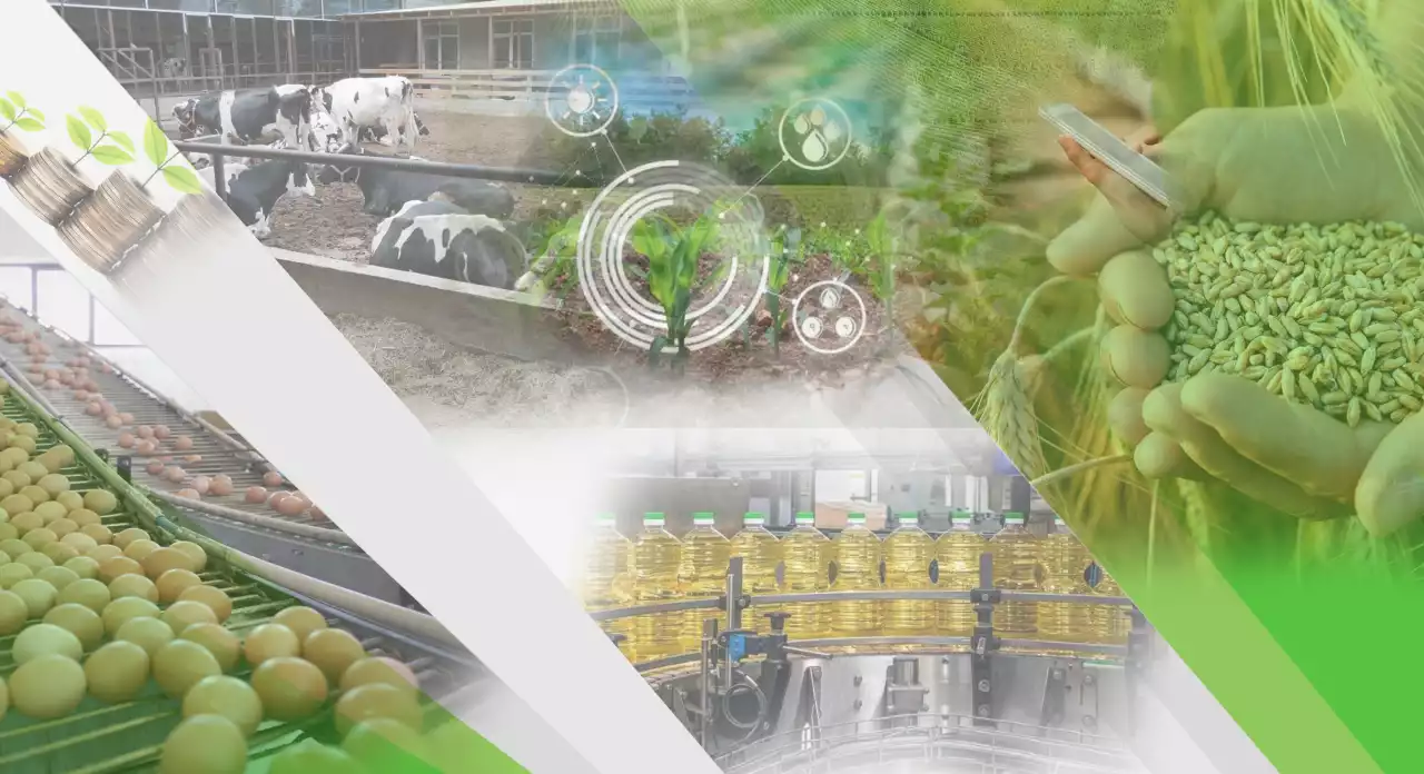 Агроөнеркәсіп кешенін дамытудың жаңа моделі