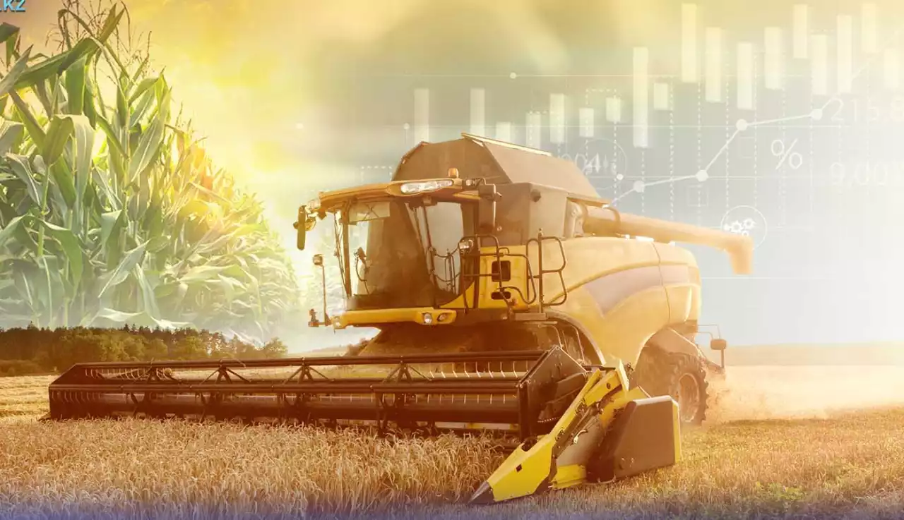 Экономиканы әртараптандырудан ұтарымыз көп