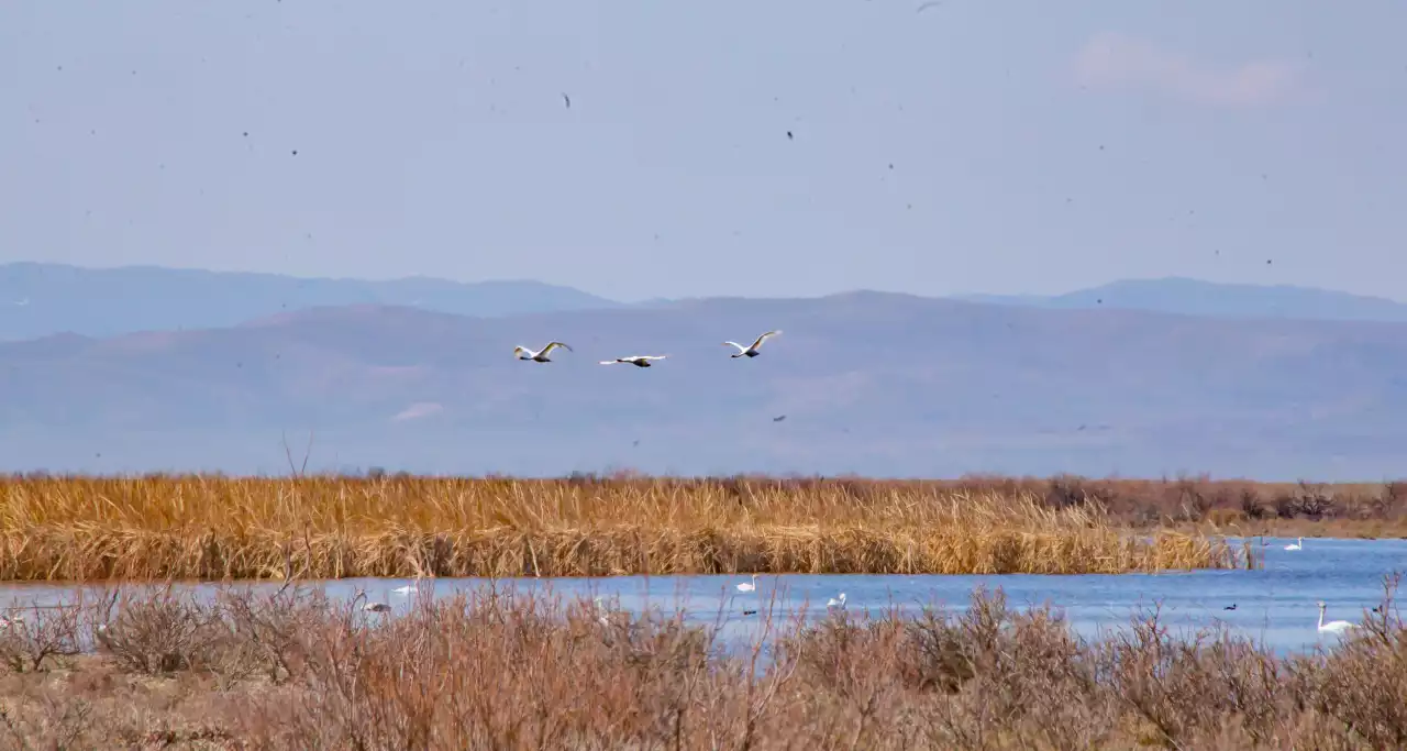 Көктем – мейірім үлестіретін мезгіл