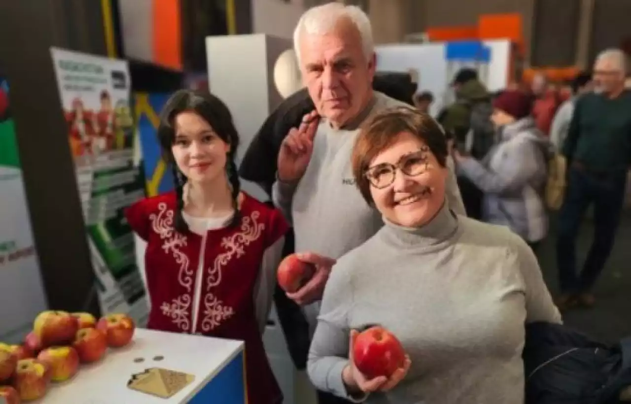 Алматы апорты экспортқа дайындалуда