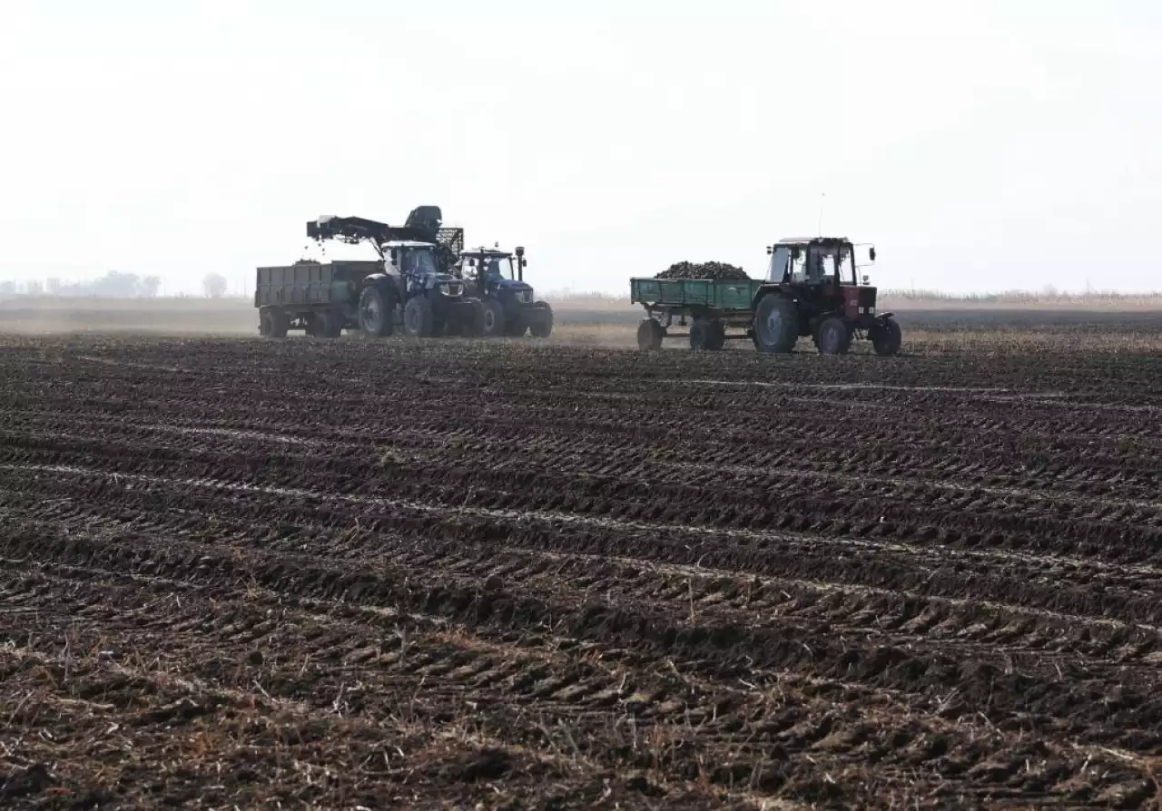 Қайта өңдеу саласында қарқын бар