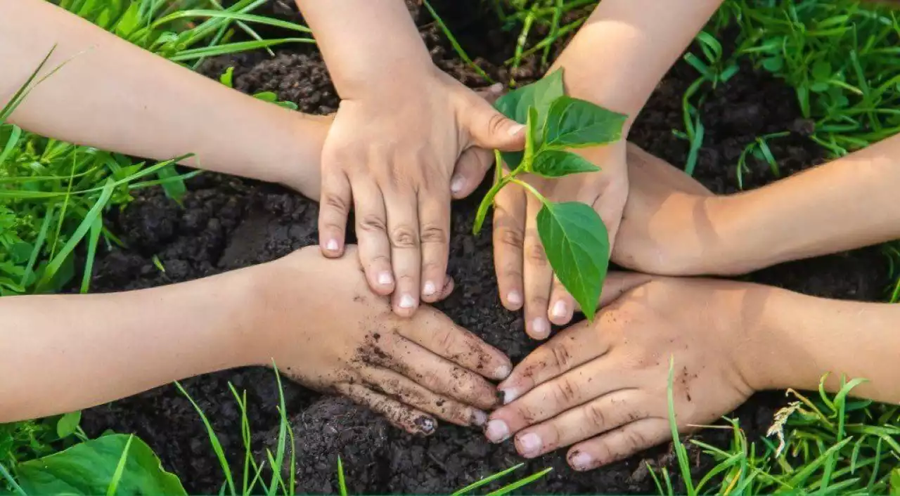 Наурызнама онкүндігінің алтыншы күні – Жаңару күні