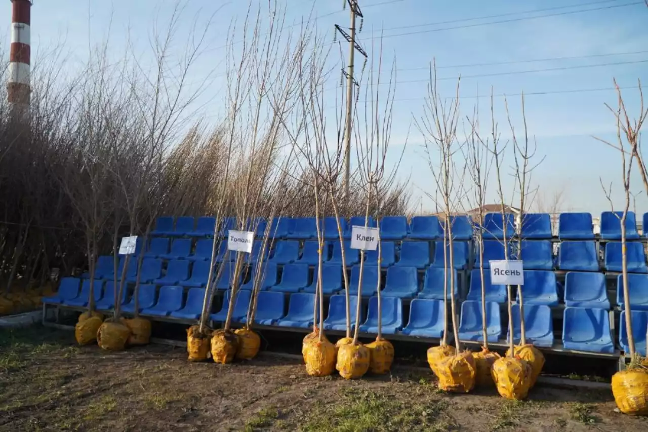 Абаттандыру жұмыстары – айрықша назарда