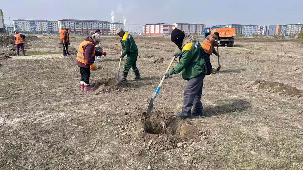 100-ге жуық жеміс ағашы отырғызылды