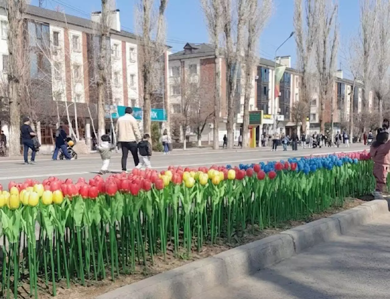 Жанарды арбаған жасанды қызғалдақтар қайда?