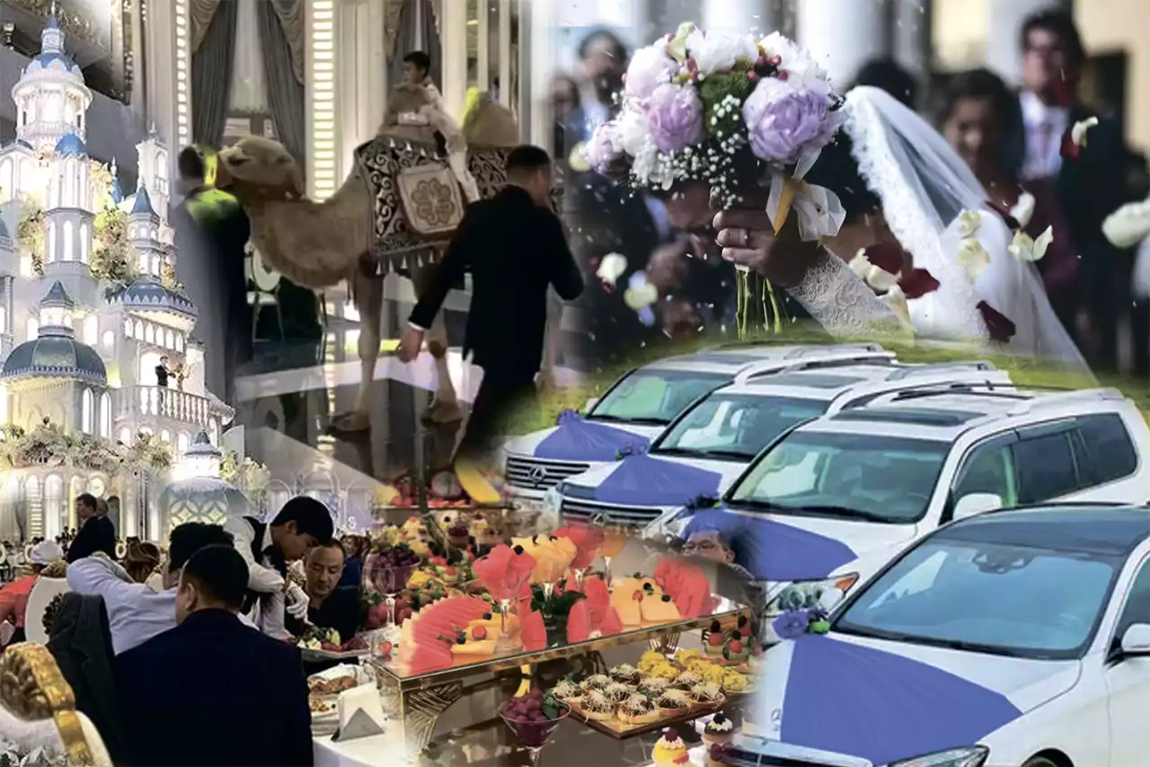 Тойды түзеу мүмкін бе?