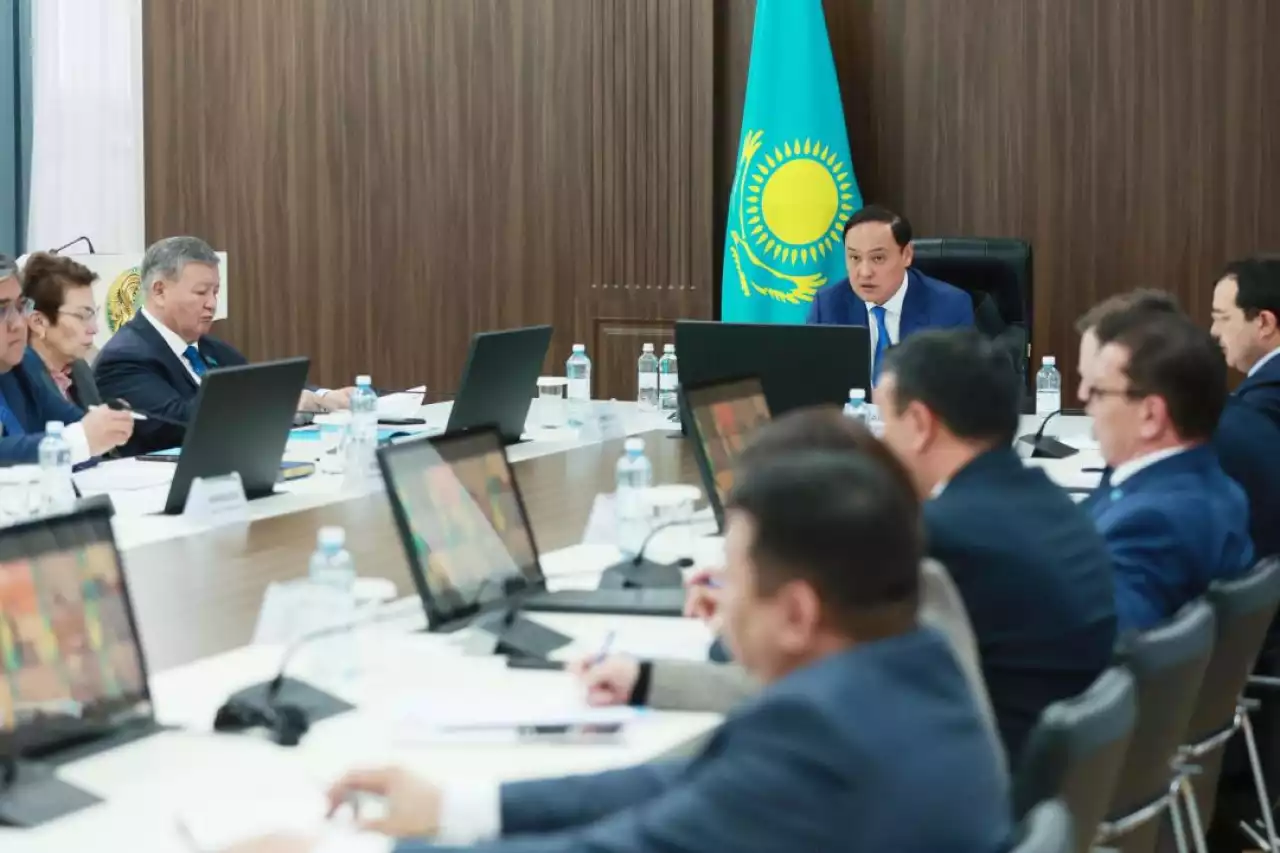 Таза Қазақстан: Тараз қаласында 31 мың түп ағаш цифрландырылды