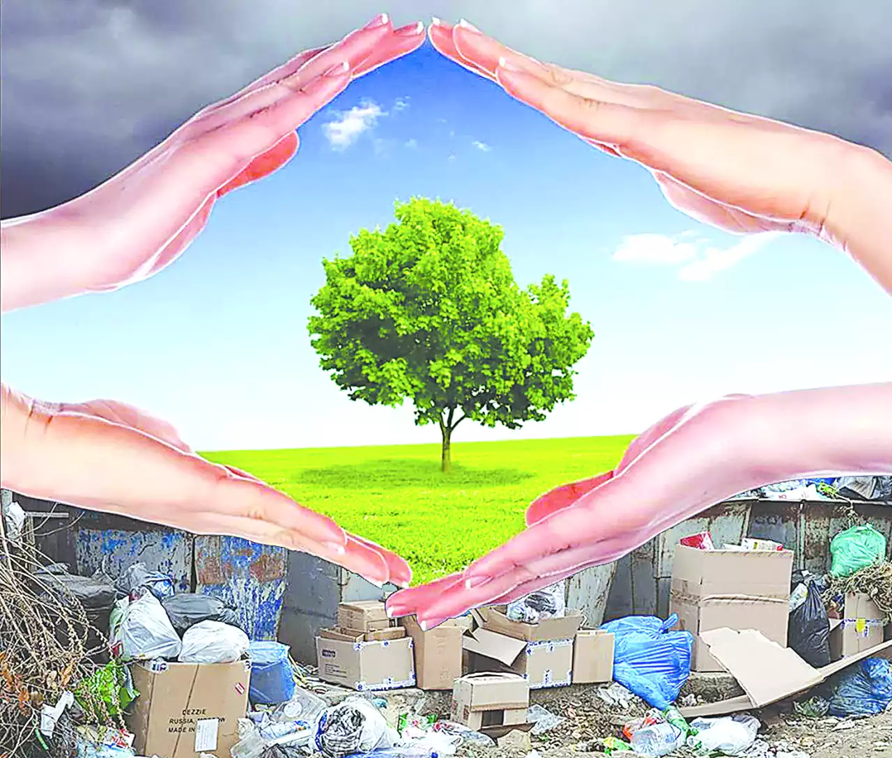 Табиғатқа жанашырлық танытайық