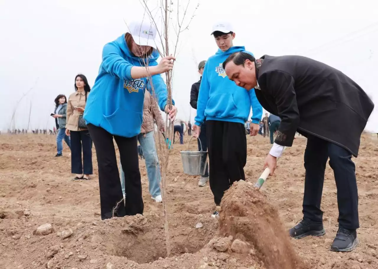 Таразда «Таза Қазақстан» аясында 10 мың түп ағаш отырғызылды