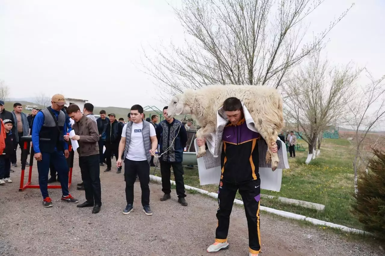 Ұлттық дәстүрлер жаңғырған жиында жамбылдық полицей қойды 220 рет көтерді