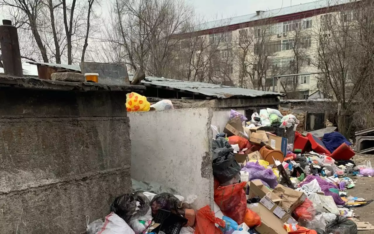 Тұрғындарды титықтатқан қоқыс мәселесі