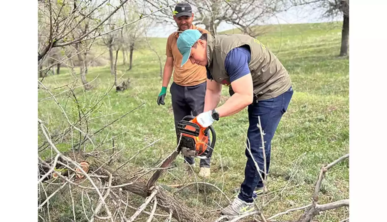 Қордайлықтар жаппай сенбілікке шықты