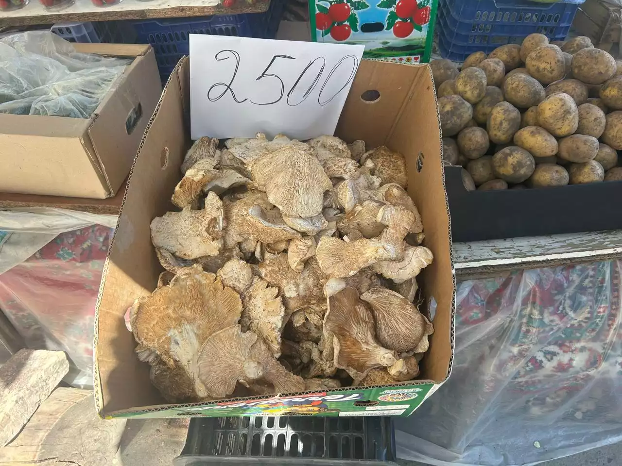 Саңырауқұлақ саудасында сұрақ көп