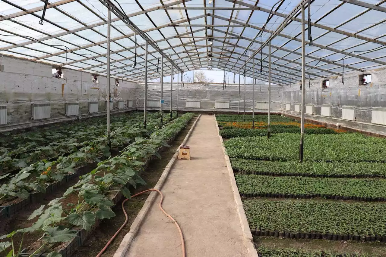 Айша бибі ауылындағы айрықша нысан