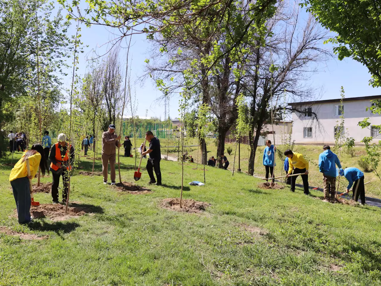 6 500-ге жуық ағаш көшеті отырғызылды